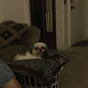 Meet your Posher, Sandra